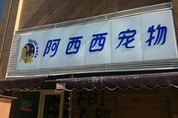 &#20964;&#20976;&#40;&#20013;&#22269;&#41;&#23448;&#26041;&#32593;&#31449;&#45;&#30331;&#24405;&#20837;&#21475;